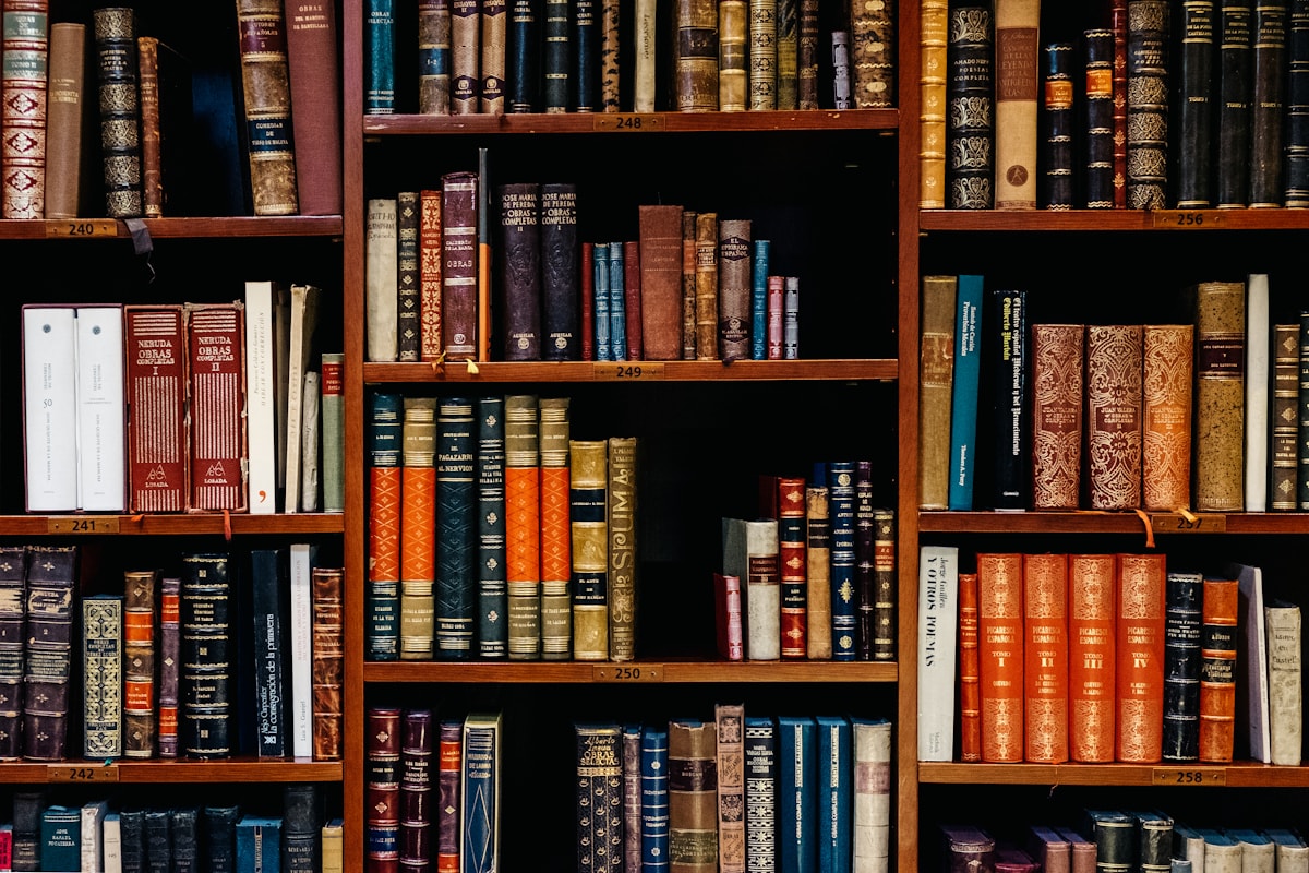 Library shelves filled with books
